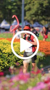 BIB:  <button type="button" onclick="openModal(27588583)" class="btn btn-primary btn-sm float-right" data-toggle="modal" data-target=".modal-high-quality">
                <i class="fa fa-download"></i> Download
                </button>